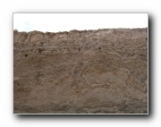 Click to enlarge this image